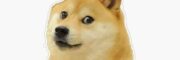 cropped images.jpg